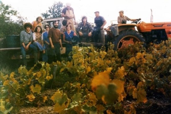 [Exposition] Le vignoble Corcouéen
