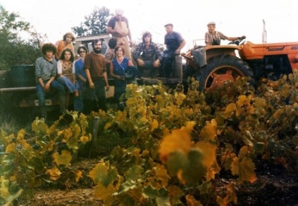 [Exposition] Le vignoble Corcouéen