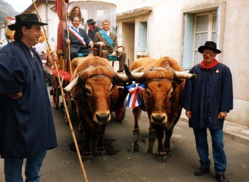 [Fiche d’inventaire] Les fêtes des Bouviers et des Laboureurs de la Drôme