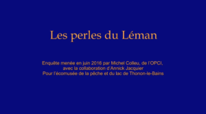 La fabrication des perles du lac Léman (3/3), Thonon-les-Bains, 2017